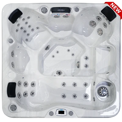Costa-X EC-749LX hot tubs for sale in Traverse City