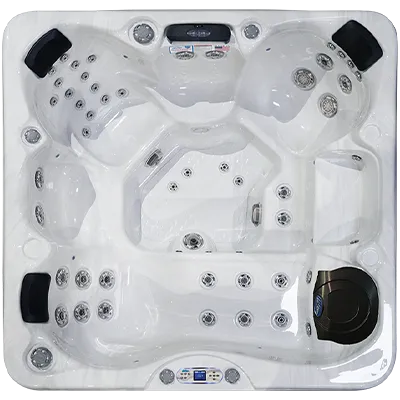 Avalon EC-849L hot tubs for sale in Traverse City