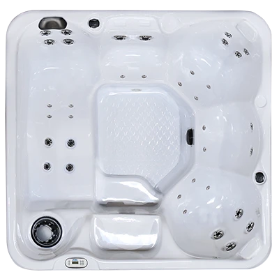Hawaiian PZ-636L hot tubs for sale in Traverse City